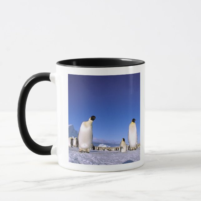 Caneca Pinguim | Antártida, Península Antártica (Esquerda)
