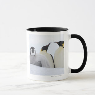 Caneca Pinguim de imperador (forsteri do Aptenodytes)