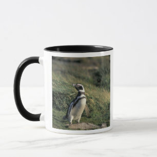 Caneca Pinguim-de-magalhães (Spheniscus magellanicus),