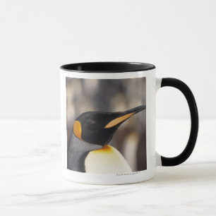 Caneca Pinguim de rei (patagonicus do Aptenodytes)