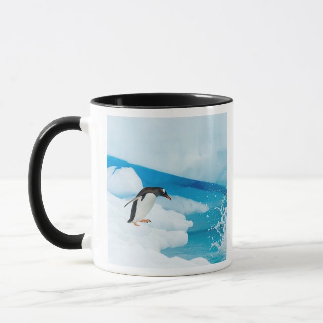 Caneca pinguim-gentoo, Pygoscelis Papua, saltando (Esquerda)