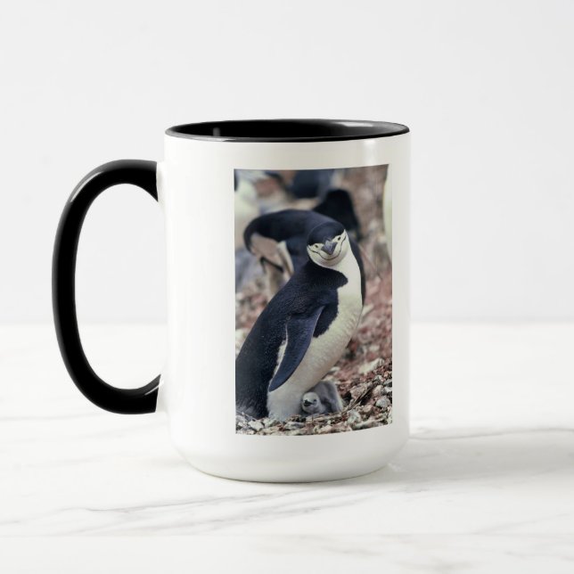 Caneca Pinguim-Pássaro Cinto-Negro Água Branca (Esquerda)