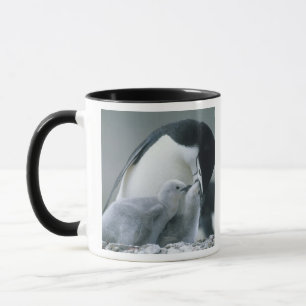 Caneca Pinguins-de-barbicha, Pygoscelis antarctica),