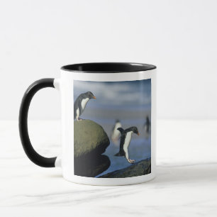 Caneca Pinguins-de-crista, Eudyptes chrysocome),