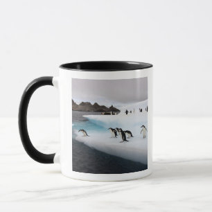 Caneca pinguins do chinstrap, Pygoscelis a Antártica, 2