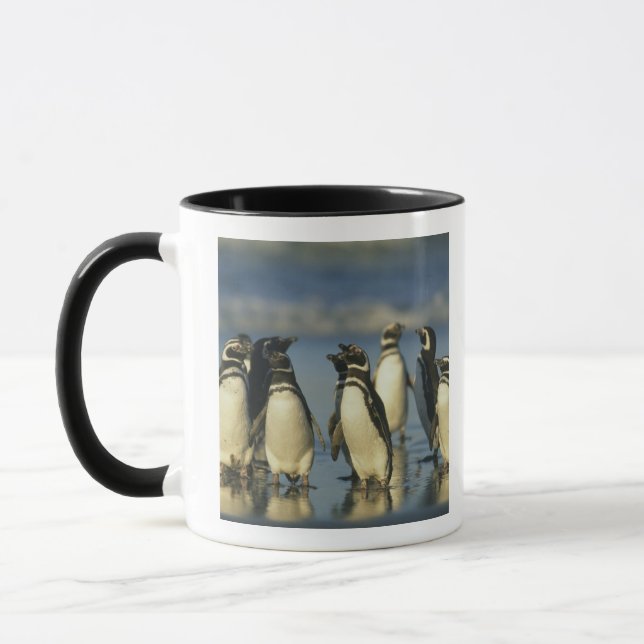 Caneca Pinguins Magalhães, Esfenísco (Esquerda)