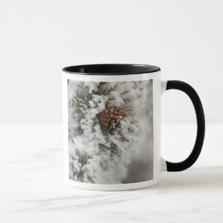Caneca Pinhas de Pinheiro Lodgepole no inverno em Yellows