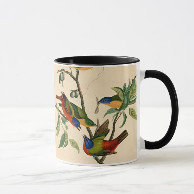 Caneca Pintados por pintura de aves de Audubon  (Direita)