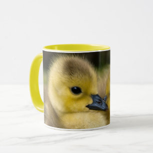 CANECA PINTINHOS QUE AFAGAM