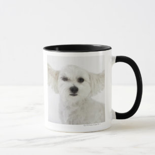 Caneca Pisc do cão