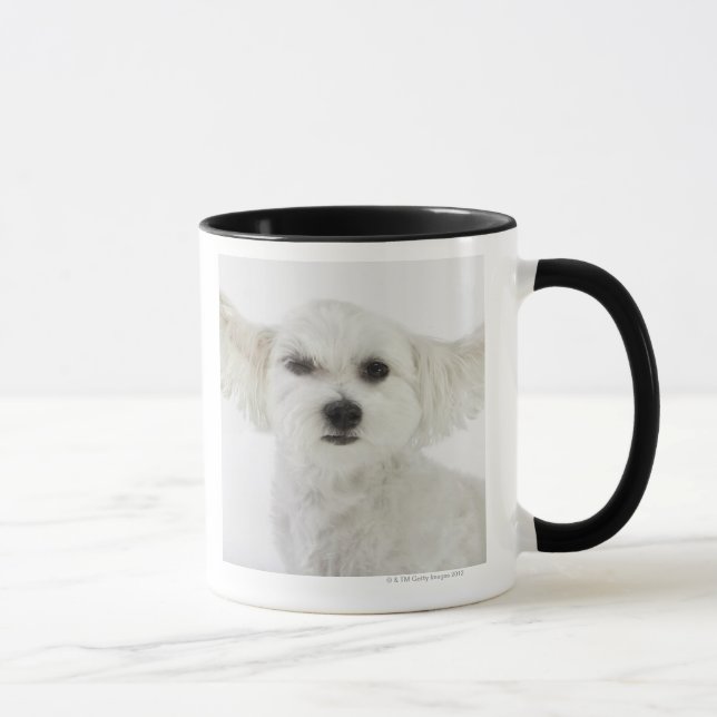 Caneca Pisc do cão (Direita)
