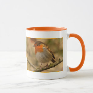 Caneca Pisco de peito vermelho na luz do sol