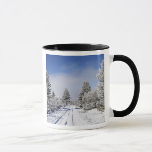 Caneca Pista Nevada e Pinheiros, Cambrians, perto de St