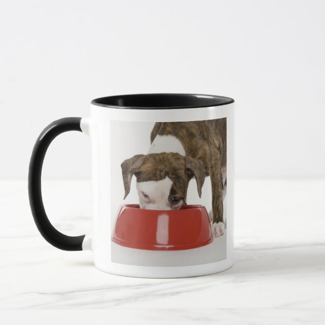 Caneca Pitbull do filhote de cachorro que come fora do (Esquerda)
