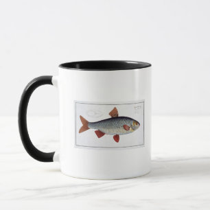 Caneca Placa II da barata (Cyprinus Rutilis) 'de