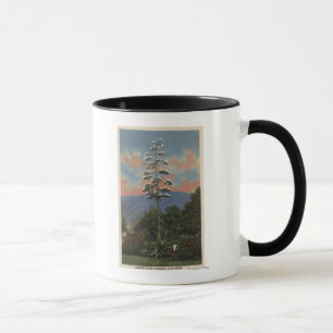 Caneca Planta de CaliforniaCentury na flor