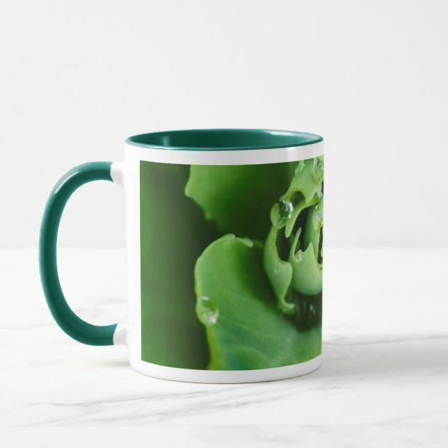 Caneca Planta suculenta em close-up com gotas de água (Esquerda)