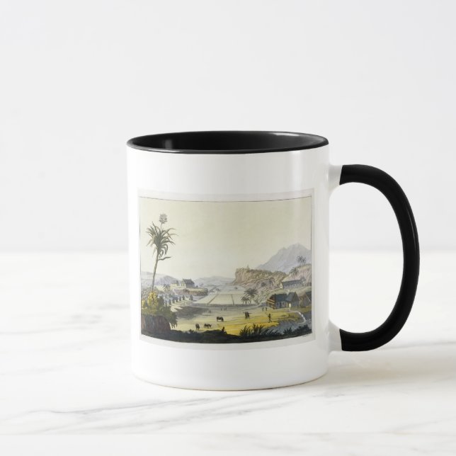 Caneca Plantação do açúcar, Antilhas (gravura da cor) (Direita)