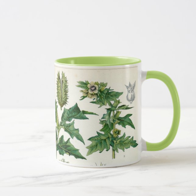 Caneca Plantas venenosas (Direita)