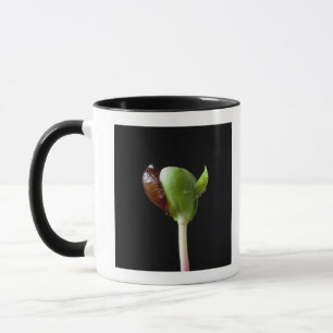 Caneca Plântulas de Apple com escudo da semente