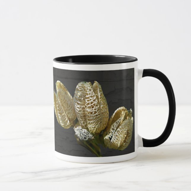Caneca Pods De Sementes De Lily Vazios Coordenando Itens (Direita)