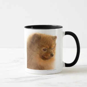 Caneca Pomeranian