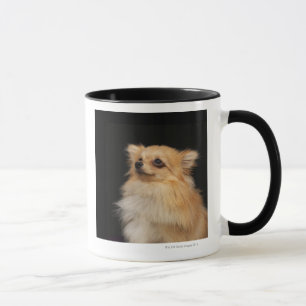 Caneca Pomeranian que olha acima no preto