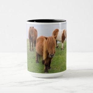 Caneca Pônei Shetland em Pastagem Perto de Falésias Altas