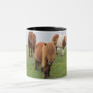 Caneca Pôneo Shetland na Pastura perto de saltos altos