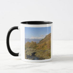 Caneca Ponte Ashness, Lake District, Cumbria, Inglaterra