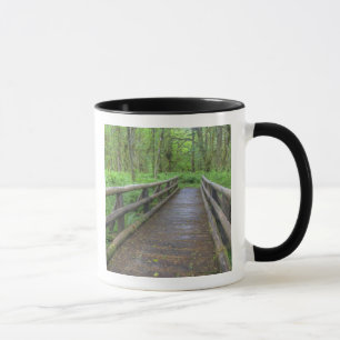Caneca ponte de madeira Maple Glade trail, samambaias e