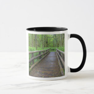 Caneca Ponte de madeira, samambaias e