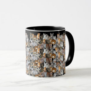 Caneca Ponto de encontro de gatos - colagem