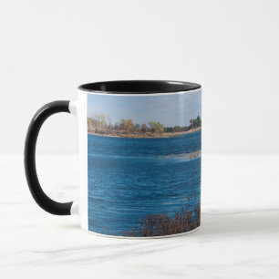 Caneca ponto do pântano no refúgio necedah