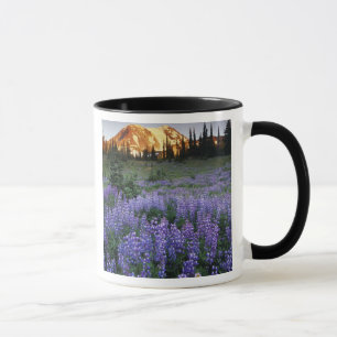 Caneca Pôr do sol sobre o Mt. Adams e um prado subalpino