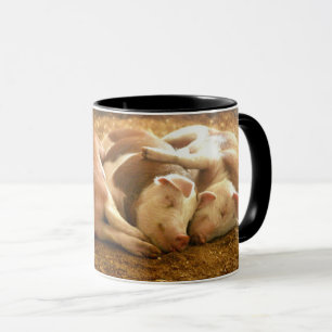 Caneca Porcos Snuggling das imagens   de Getty