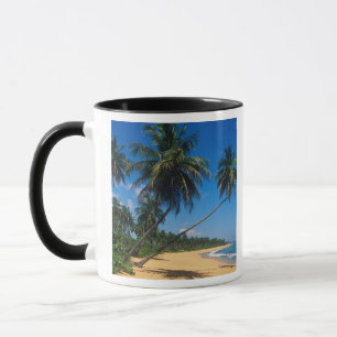 Caneca Porto Rico, Isla Verde, palmeiras.
