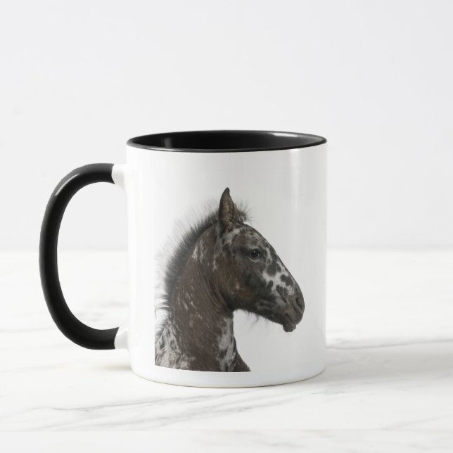 Caneca potro do híbrido entre um Appaloosa e um a (Esquerda)
