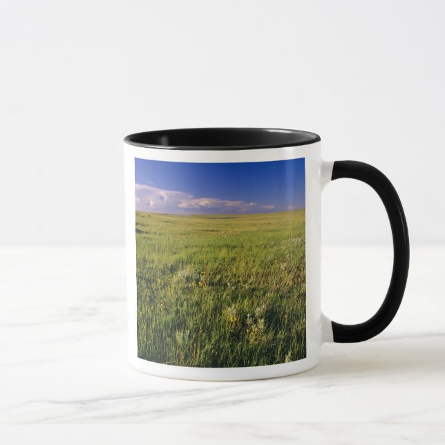 Caneca Pradaria de grama curta no remoto nordeste (Direita)