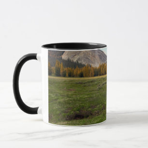 Caneca Prado de Tuolumne, Yosemite