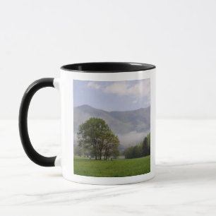 Caneca Prado enevoado e Rich Mountain, Cades Cove,