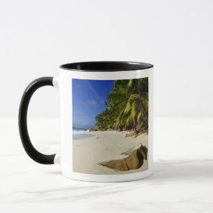 Caneca Praia de Anse Victorin