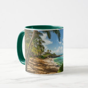 Caneca Praia   Maui da angra de Kuau, Havaí
