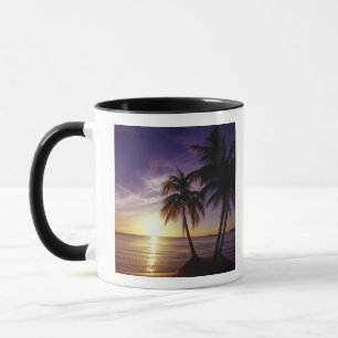 Caneca Praias em Negril, Jamaica 3
