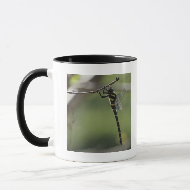Caneca Prefeitura de Tokyo, Honshu, Japão (Esquerda)