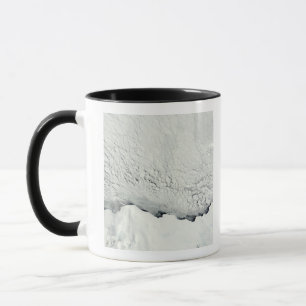 Caneca Primavera adiantado no Antarctic