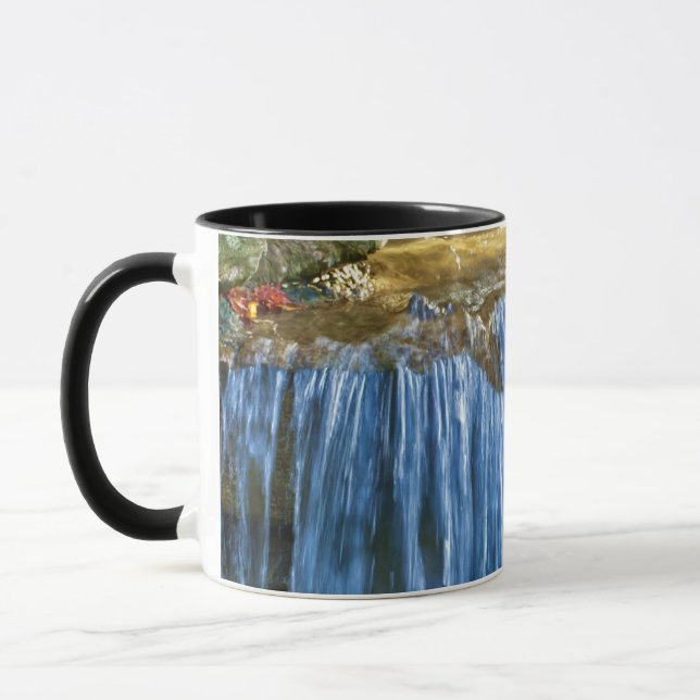 Caneca Primavera de água azul (Esquerda)