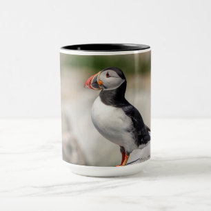 Caneca Puffin Atlântico em Machias, Maine