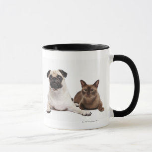 Caneca Pug e gato Burmese