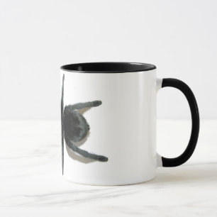 Caneca - pulchra de Grammostola (preto brasileiro)